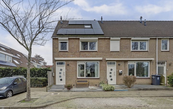 Foto 1 van Frankenthaler 42