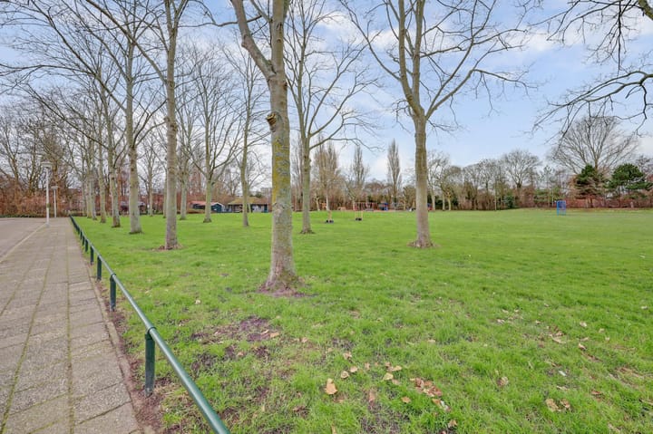 Foto 39 van Frankenthaler 42