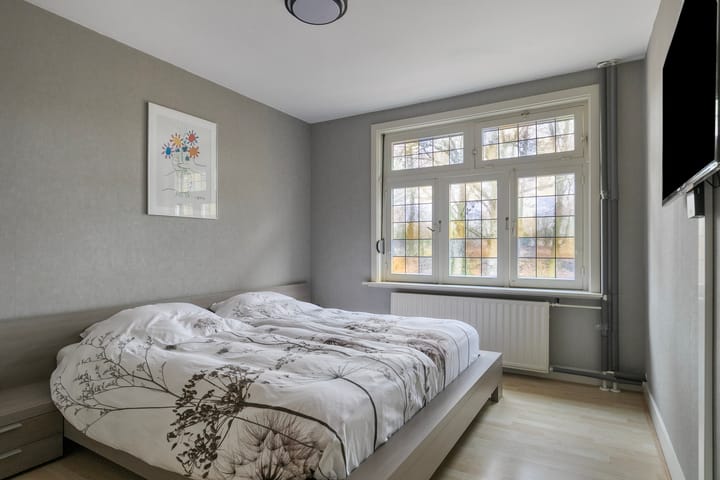 Foto 20 van Louis Regoutstraat 64