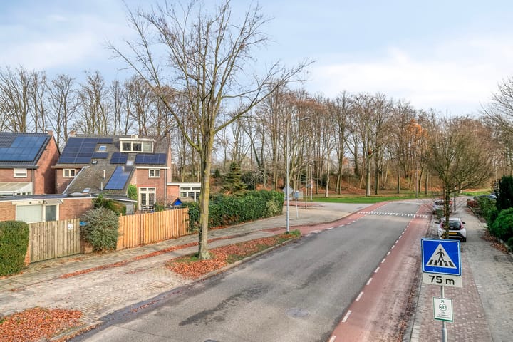 Foto 42 van Louis Regoutstraat 64