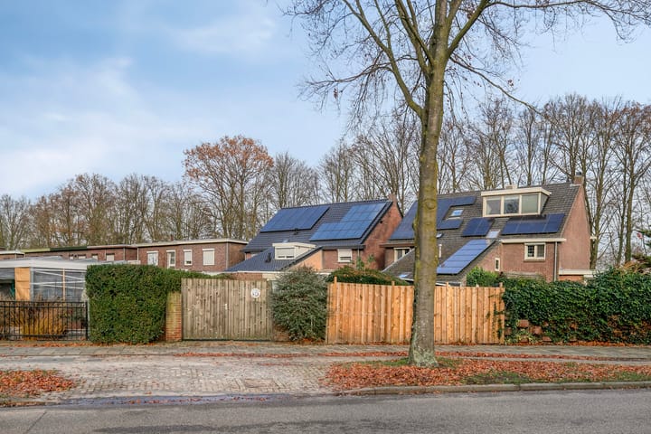 Foto 41 van Louis Regoutstraat 64