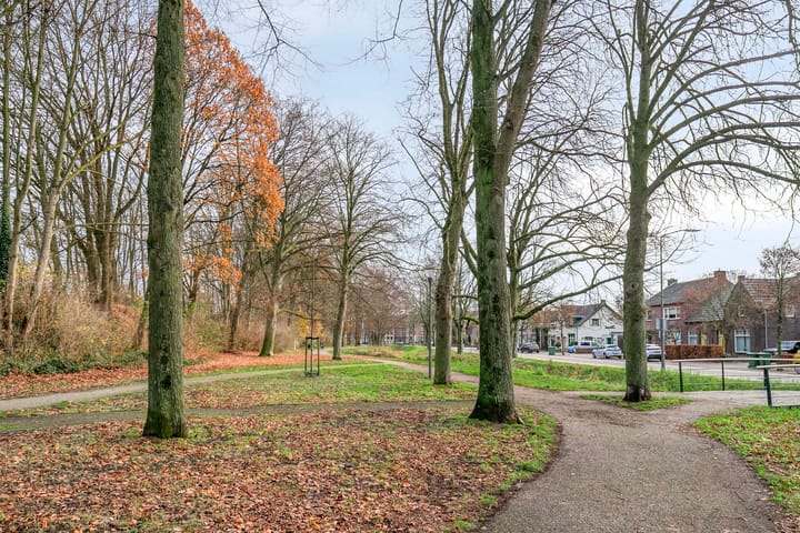 Foto 43 van Louis Regoutstraat 64