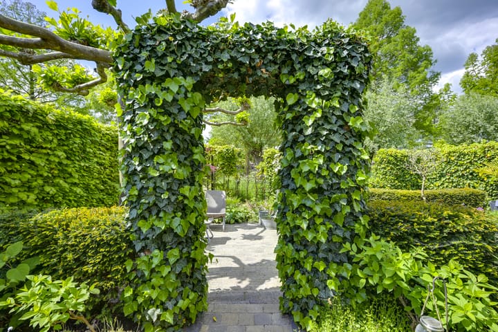 Foto 25 van Buizerdstraat 26