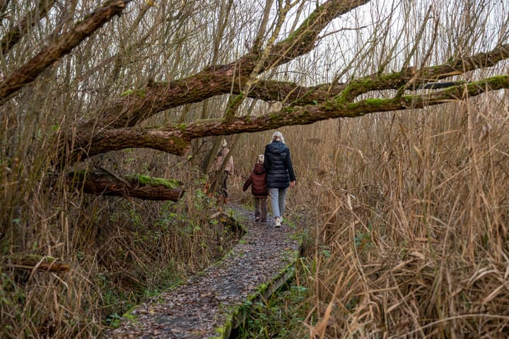 Foto 36 van Zouwendijk 40