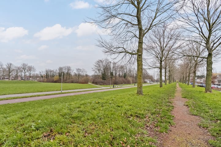 Foto 30 van Donge 17