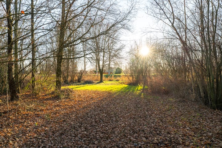 Foto 50 van Benedenkerkstraat 87