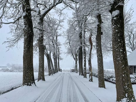 Kommisjewei 168 secondary image