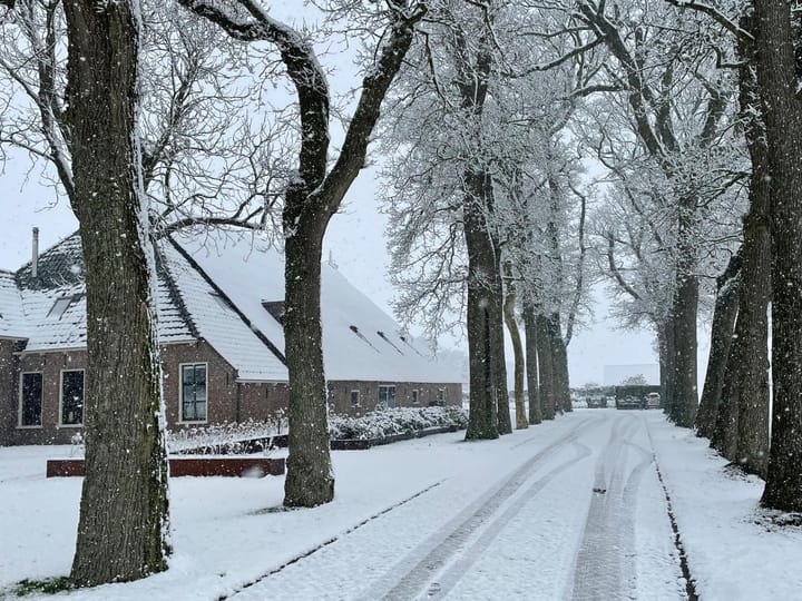 Photo 6 of Kommisjewei 168