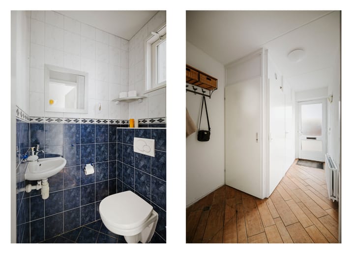 Foto 12 van Dagpauwoog 44