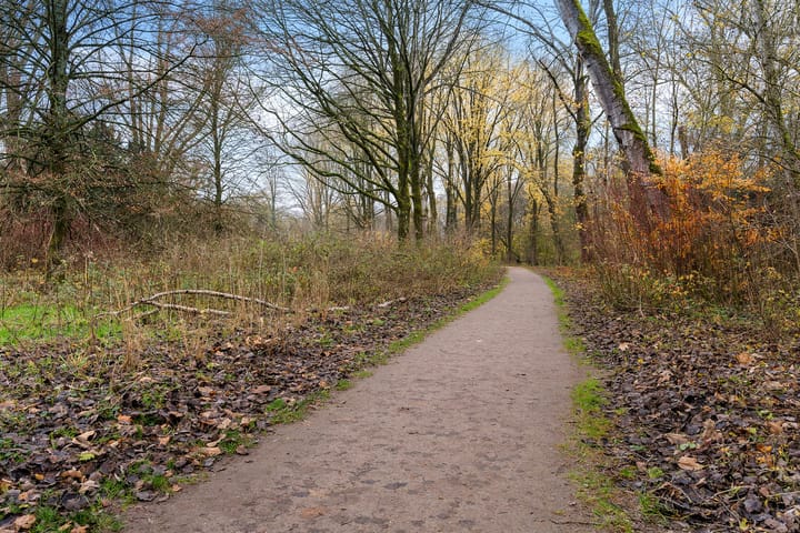 Photo 28 of Ridderhof 31