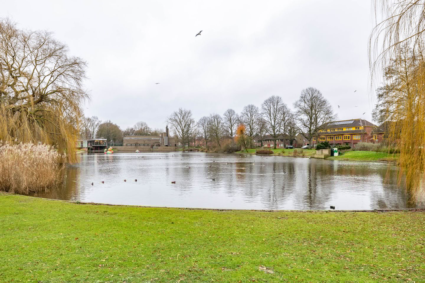 Foto 34 van Hortensialaan 20