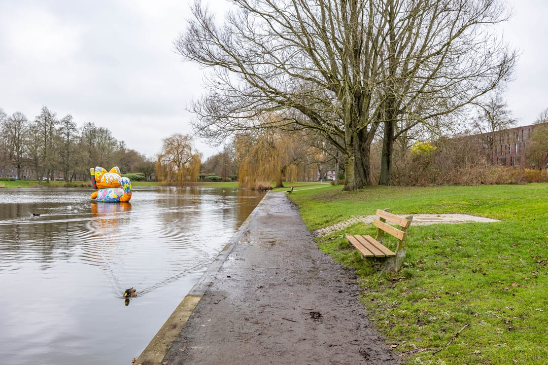 Foto 32 van Hortensialaan 20