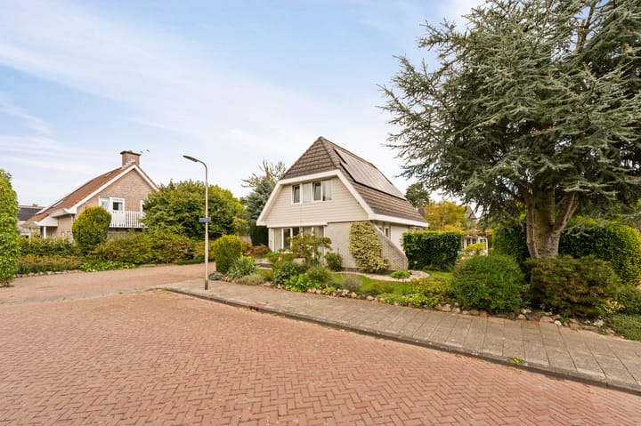 Foto 5 van Stellingwerf 11