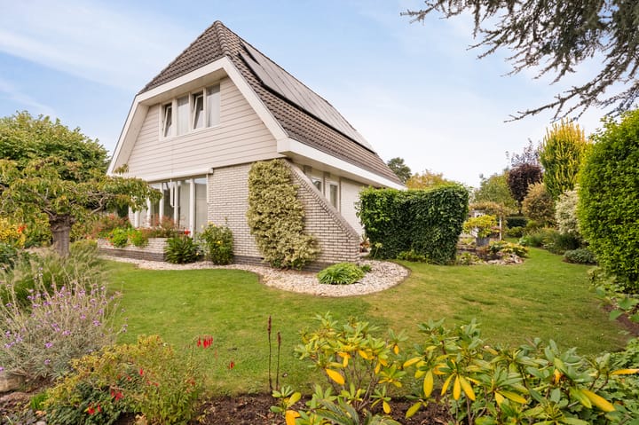 Foto 6 van Stellingwerf 11