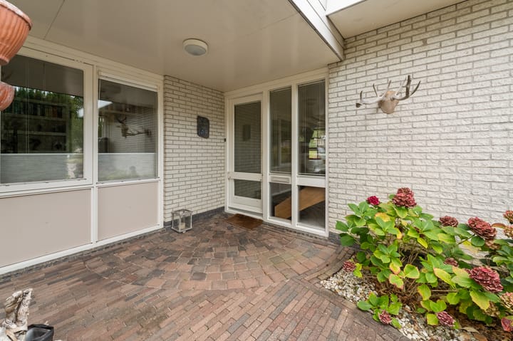 Foto 8 van Stellingwerf 11