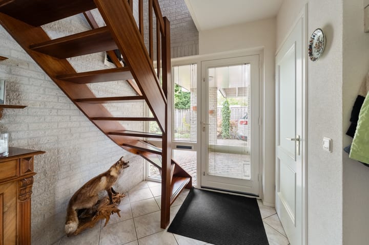 Foto 10 van Stellingwerf 11