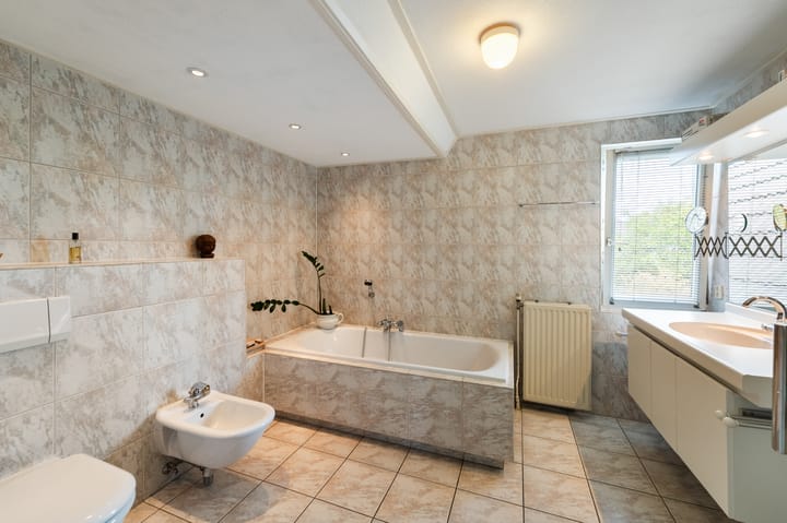 Foto 51 van Stellingwerf 11