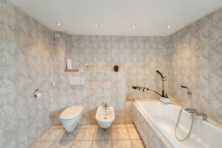 Foto 52 van Stellingwerf 11