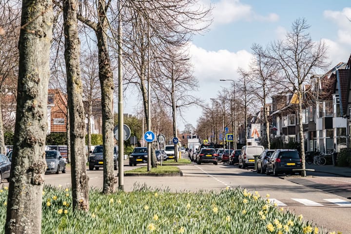 Photo 29 of Zandvoortselaan 117