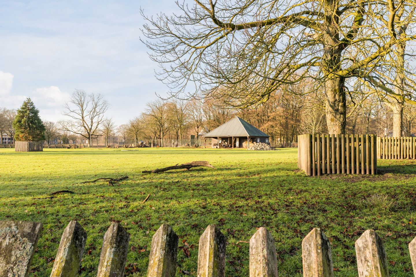 Foto 35 van Beethovenlaan 18