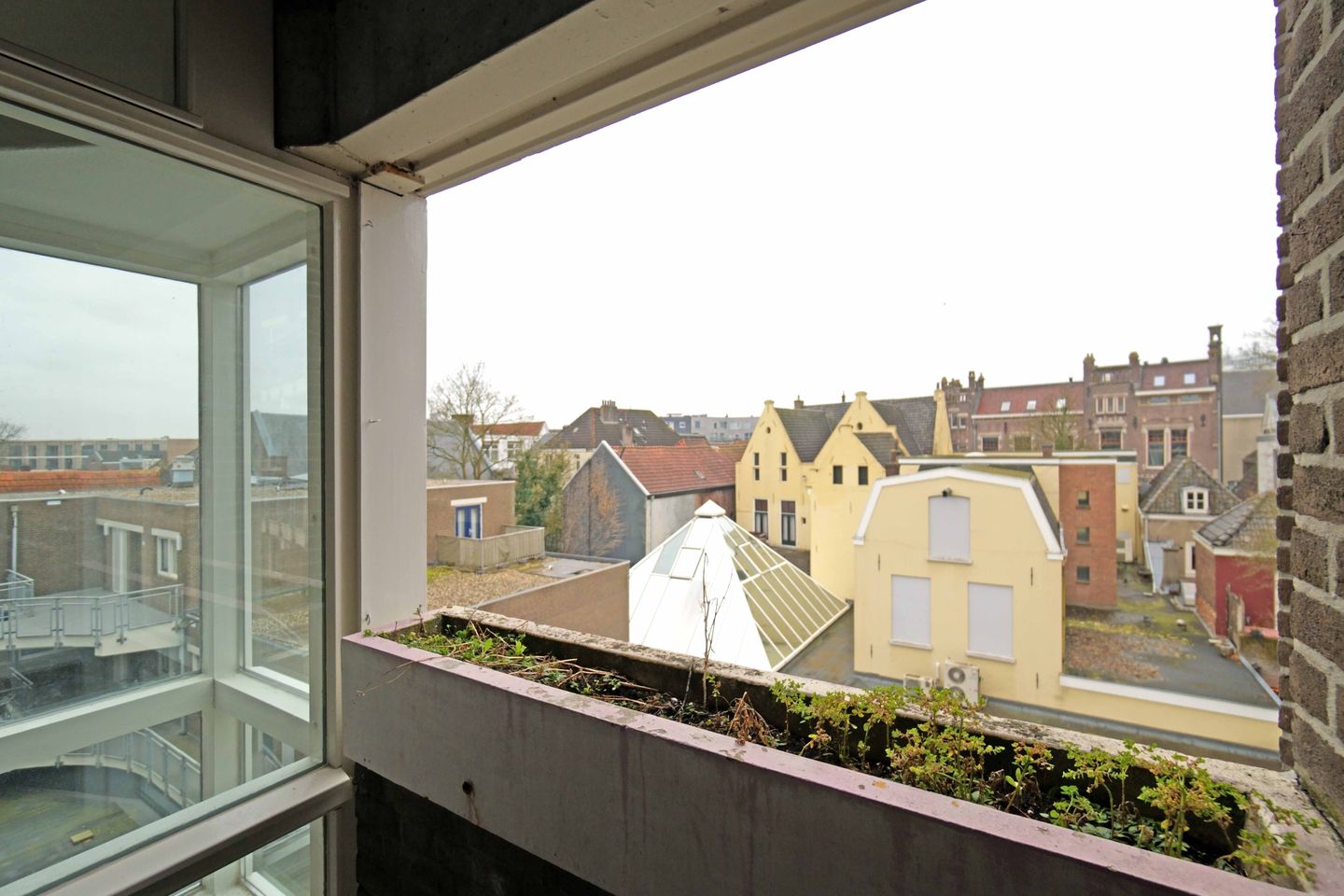 Foto 10 van Hemelrijk 37