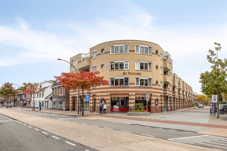 Bornsestraat thumbnail