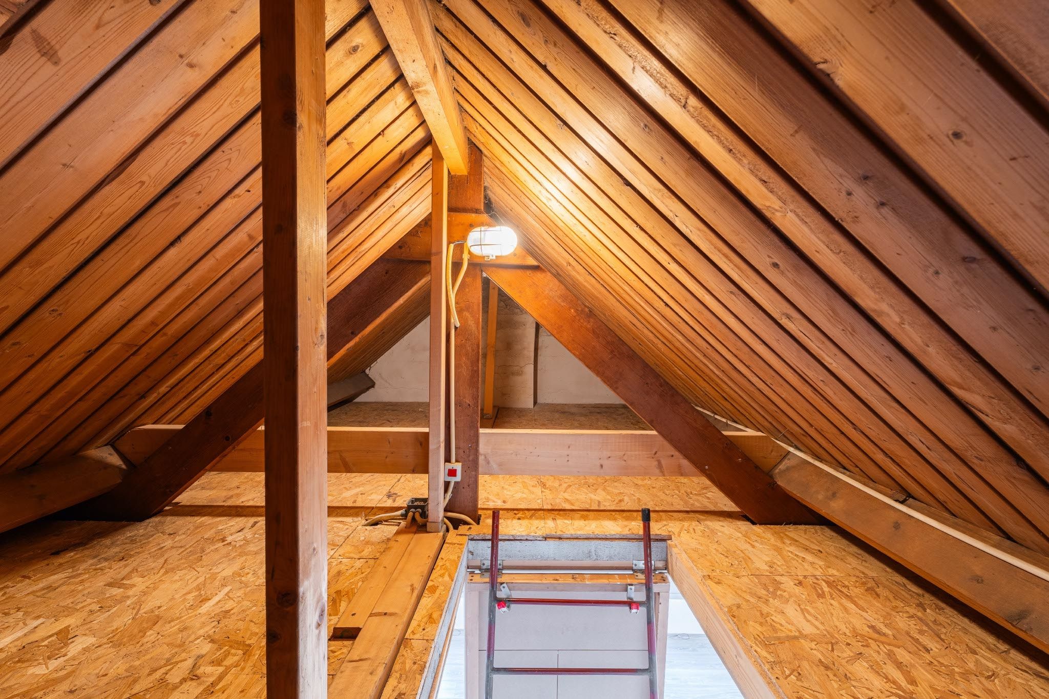 Photo 39 of Desiree Geeraertstraat 14