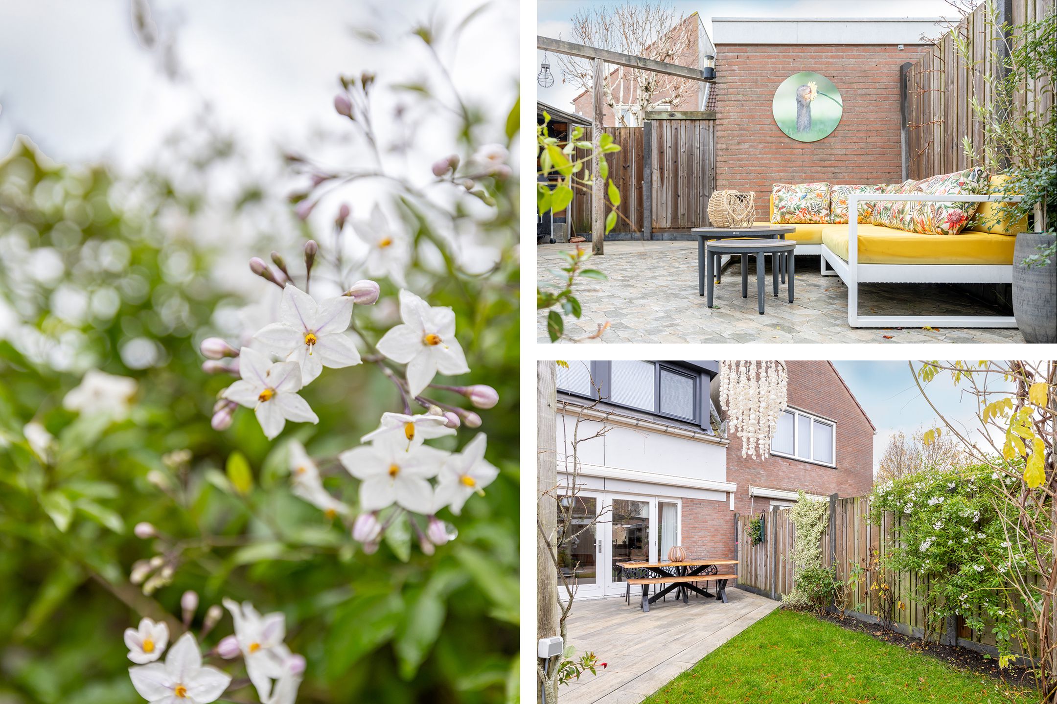 Foto 39 van Lauwersmeer 141