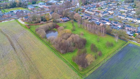 Zuiderdiep 557 tertiary image