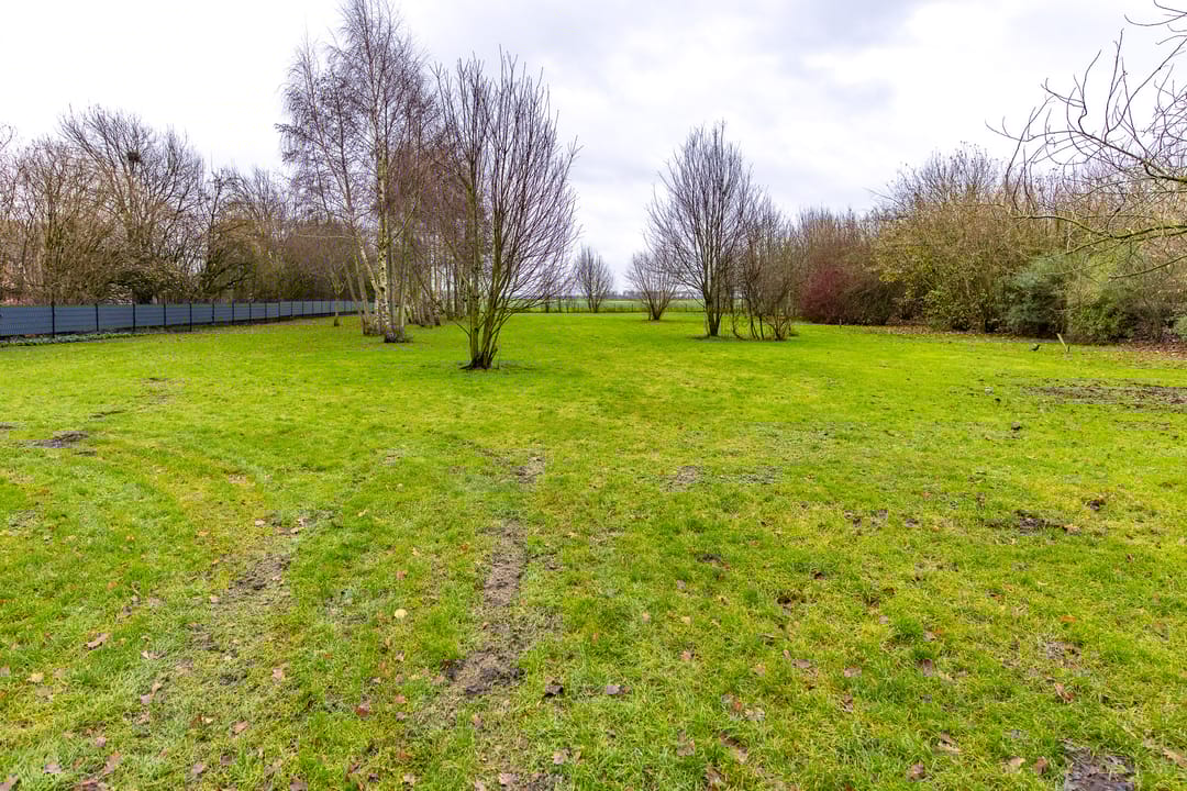 Foto 38 van Zuiderdiep 557