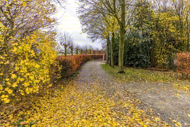 Foto 41 van Zuiderdiep 557