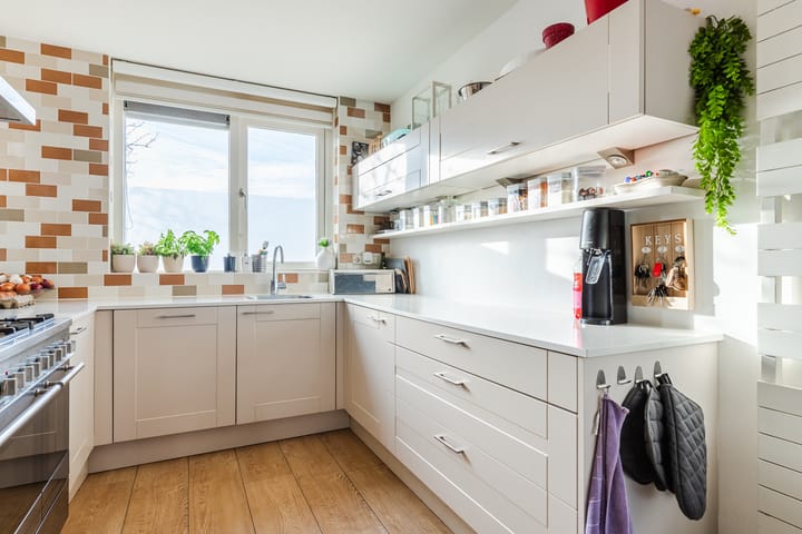 Foto 3 van Grauwe Gans 64