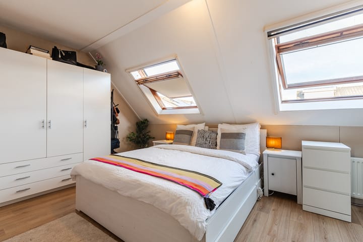 Foto 4 van Grauwe Gans 64