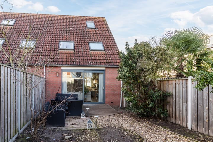 Foto 5 van Grauwe Gans 64