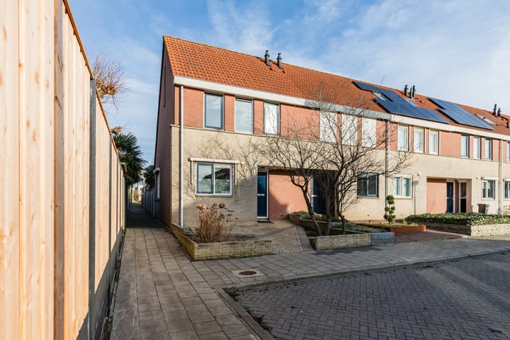 Foto 6 van Grauwe Gans 64