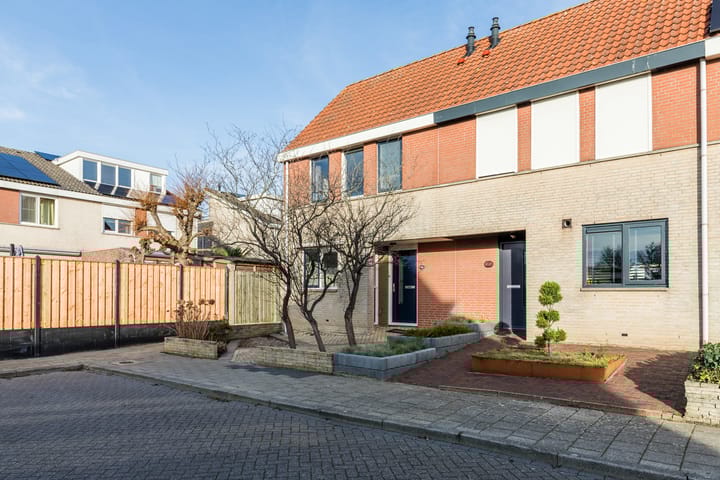 Foto 7 van Grauwe Gans 64