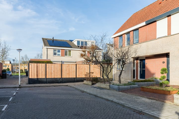 Foto 8 van Grauwe Gans 64