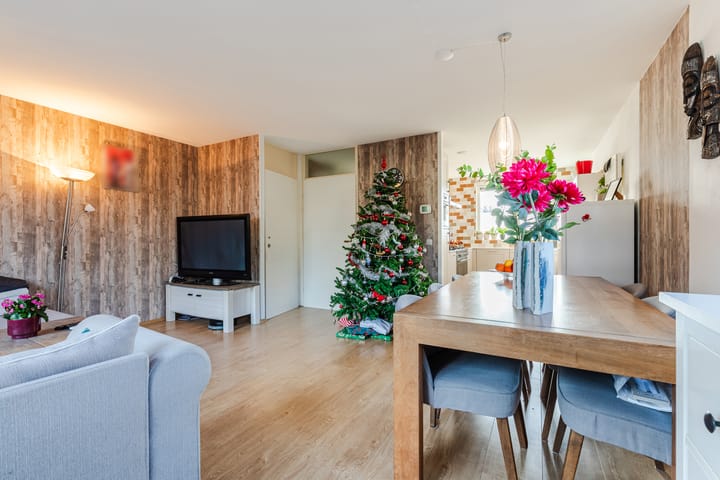 Foto 12 van Grauwe Gans 64