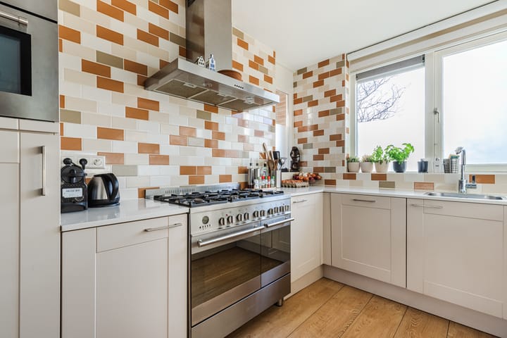 Foto 13 van Grauwe Gans 64