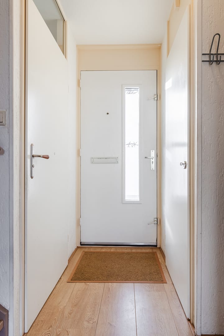 Foto 16 van Grauwe Gans 64