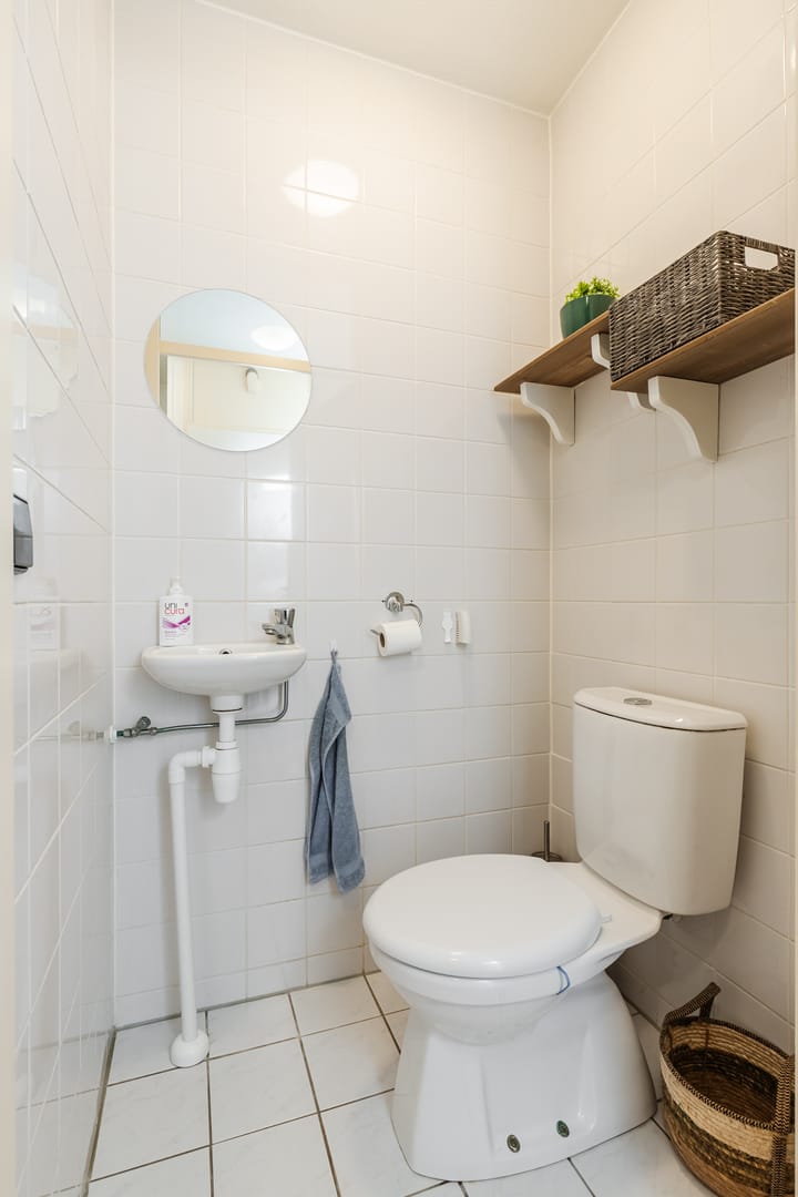 Foto 17 van Grauwe Gans 64