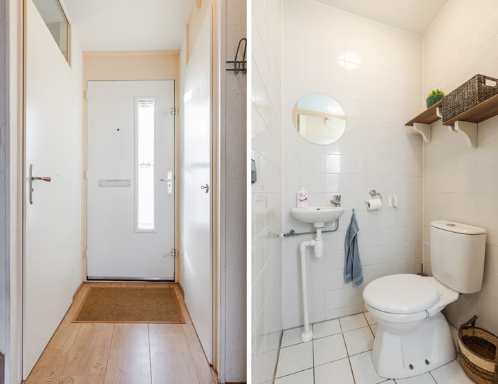 Foto 18 van Grauwe Gans 64