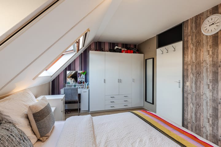 Foto 19 van Grauwe Gans 64