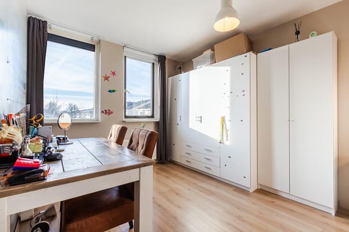 Foto 20 van Grauwe Gans 64