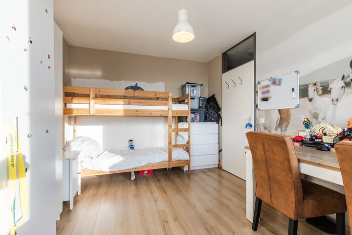 Foto 21 van Grauwe Gans 64