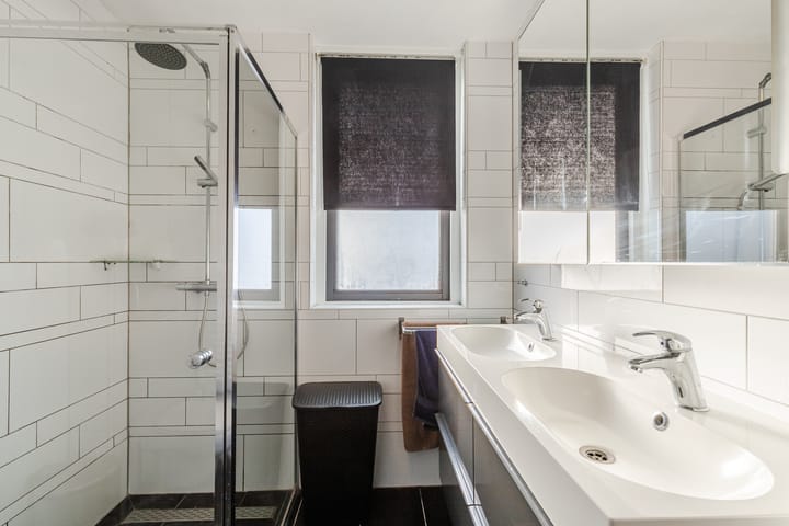 Foto 22 van Grauwe Gans 64