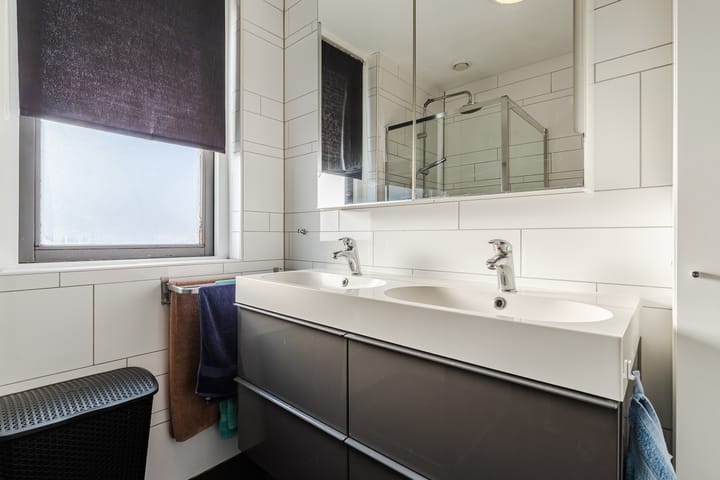 Foto 23 van Grauwe Gans 64