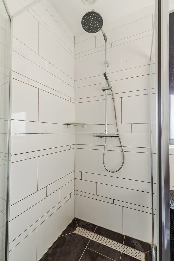 Foto 24 van Grauwe Gans 64