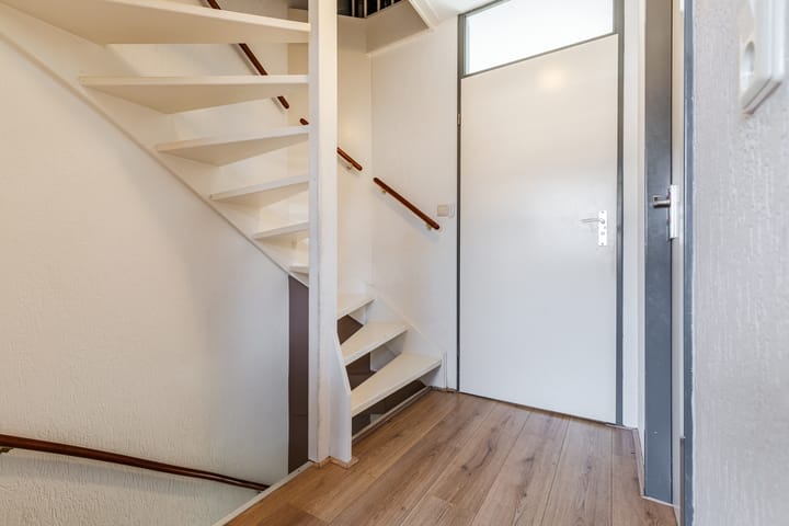 Foto 27 van Grauwe Gans 64