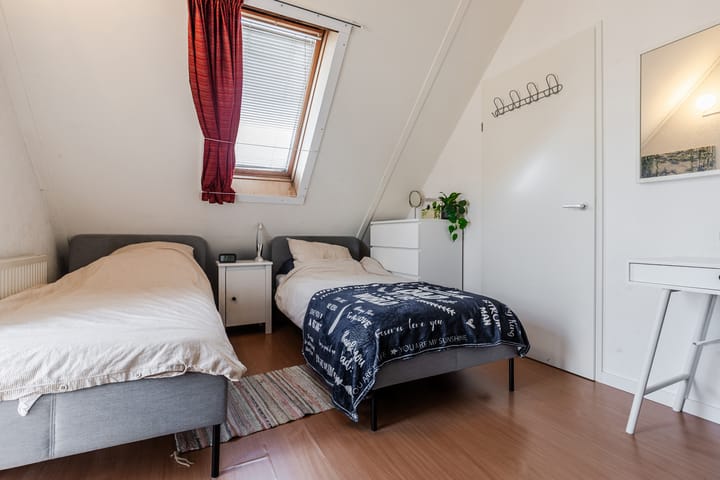 Foto 29 van Grauwe Gans 64